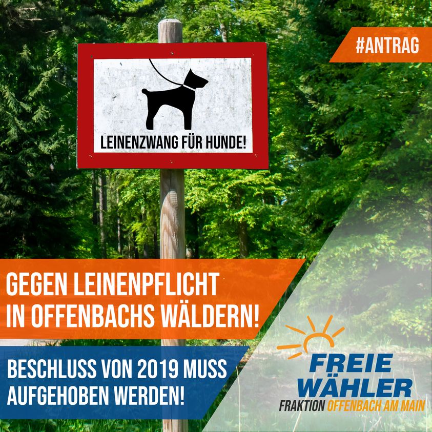 Klarheit zur beschlossenen generellen Leinenpflicht in Offenbachs Wäldern – Hundehalter von rund 4.400 Hunden von Beschluss aus 2019 betroffen