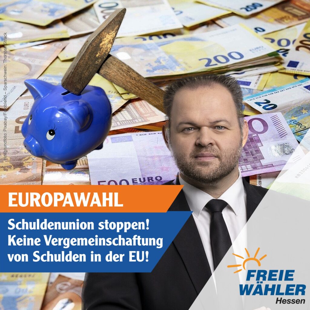 Europawahl: Schuldenunion stoppen!